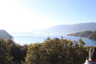 湖畔山林美景