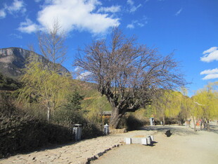 山间河畔风景
