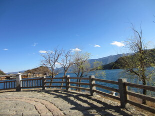 湖畔木栏风景