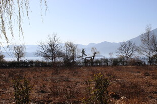 湖畔荒野风光