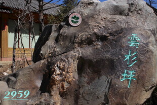 景观石上刻字