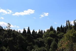 蓝天绿树的山林美景