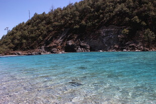清澈海边与葱郁岸坡景色