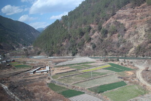 山间农田风景