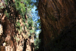 峡谷风光