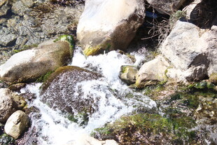 山间溪流绕石潺潺流淌