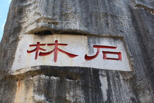 石上刻字 林石