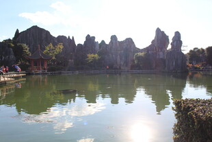 湖畔石林美景