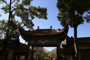 中式古建门楼 绿树相伴