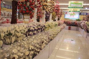 鲜花店内缤纷花卉陈列