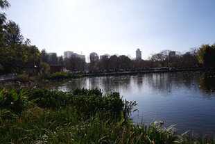 湖畔城市风光 静谧美好