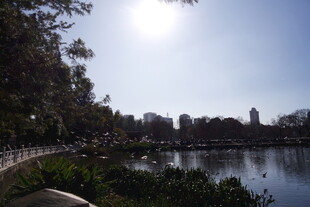 湖畔风光美景