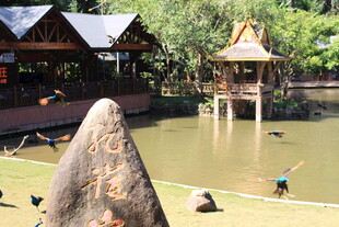 湖畔特色建筑与休闲场景