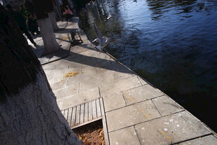 河边石板步道 静谧景致