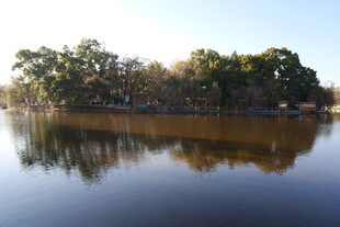 宁静湖畔风光