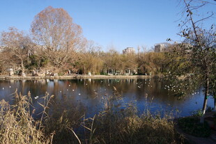 宁静湖畔秋景