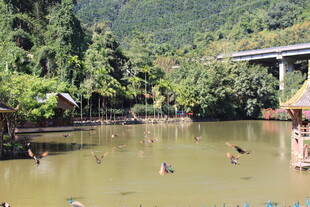 山间池塘风光