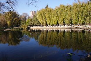 秋日湖畔美景