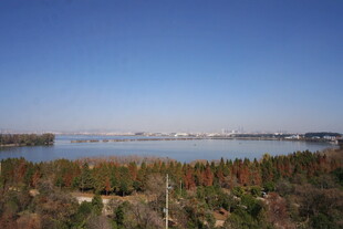 湖畔森林美景