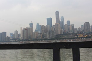 江边眺望城市高楼景观