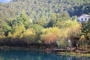 湖畔山林间的美丽景致