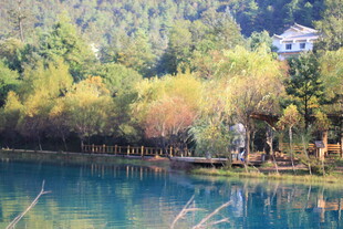 湖畔山林美景