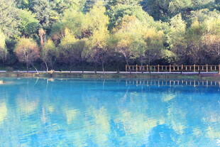 湖畔翠绿山林与湛蓝湖水