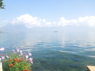 湖畔花丛与开阔水面美景