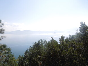 山林间远眺朦胧海景