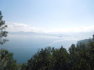 湖畔山林美景