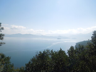 湖畔山林美景