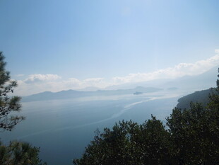 湖畔山林间的开阔景致