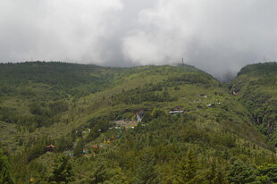 云雾缭绕的翠绿山间景色