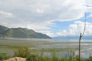 湖畔草原风光