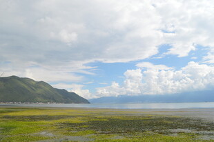 草原湖畔远山的自然美景