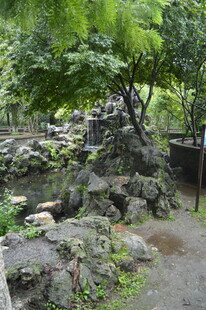 中式园林石景与绿植景观