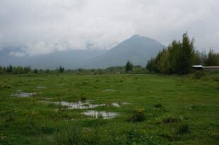 山间绿野 云雾缭绕之景
