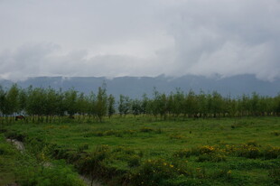 绿野远山 自然清新景致