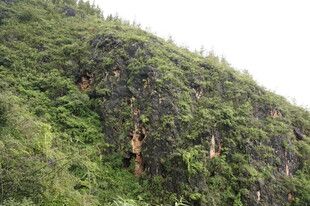 青山翠谷间的嶙峋山壁