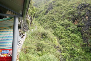 山间小屋外的葱郁景致