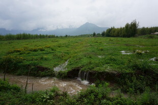 山间绿野溪流自然美景