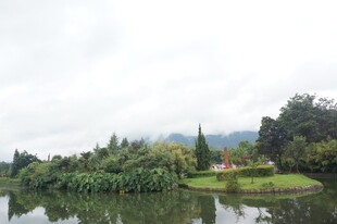 湖畔绿意浓景美如画