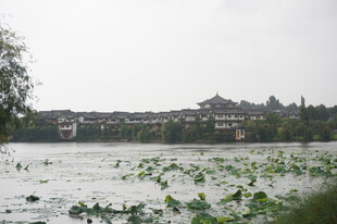 雨中荷塘畔的中式建筑群