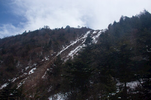 雪覆山林的壮美山景