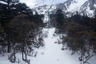 雪山林间雪景