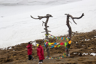 雪山下的祈福树与红衣人
