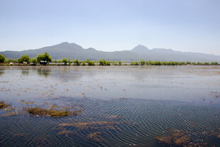 宁静湖景与远山风光
