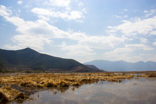 山间湿地风光
