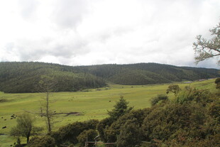 草原山林风光美景