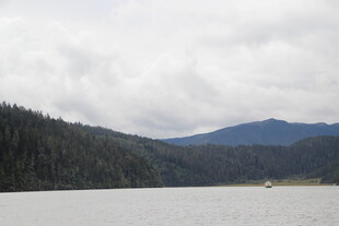 宁静湖景与远山森林